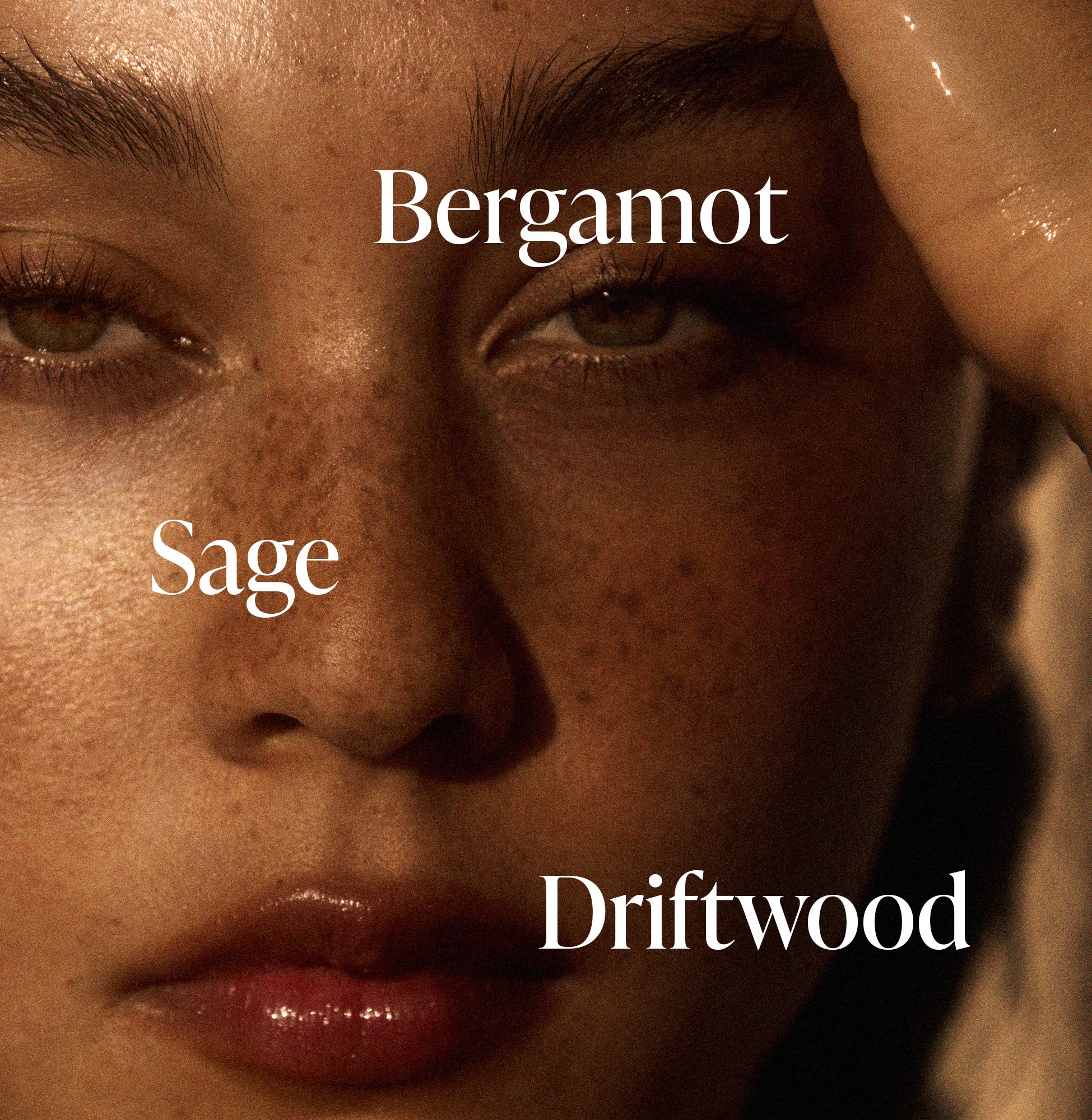 Driftwood - Body Butter - Image 4