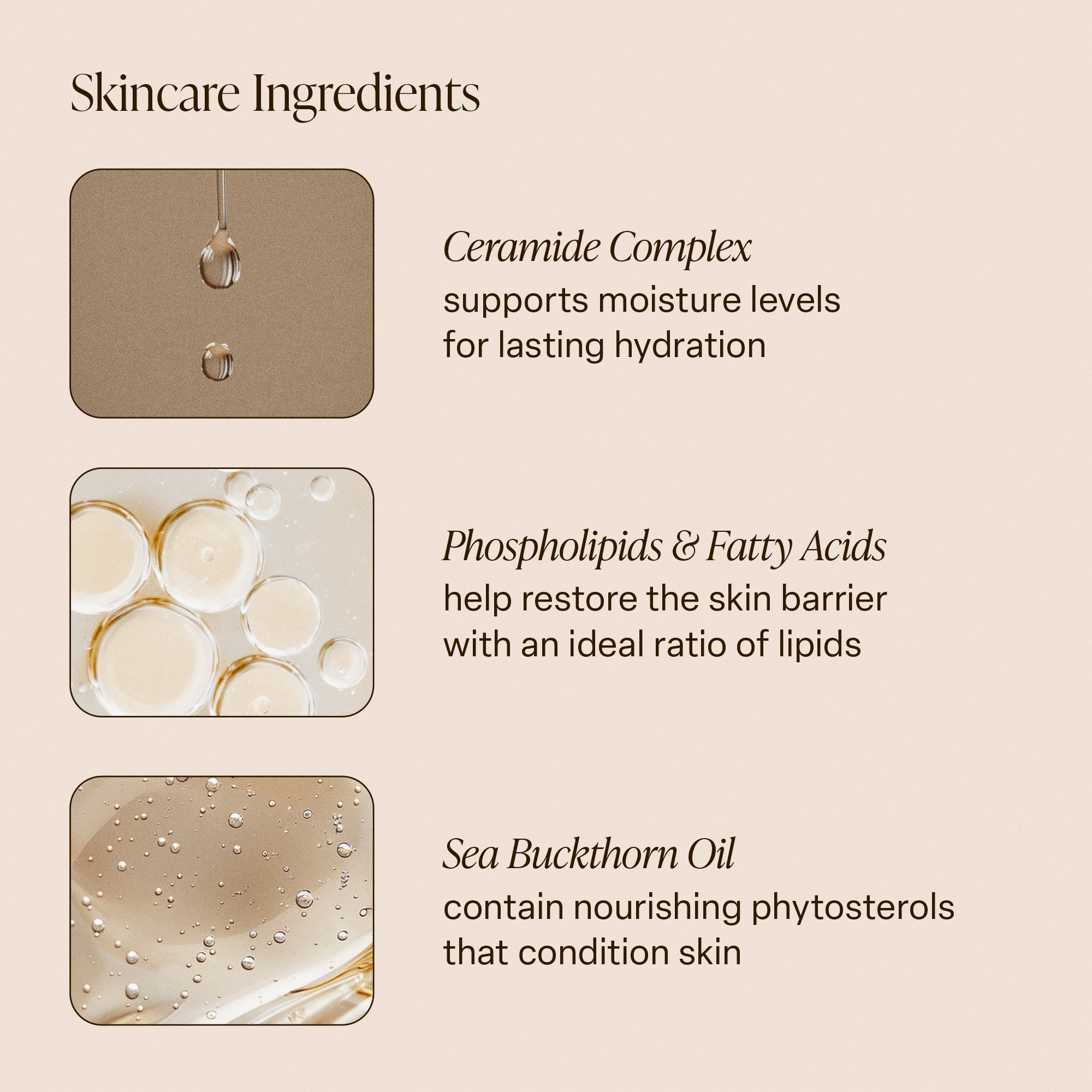 Driftwood - Body Butter - Image 5